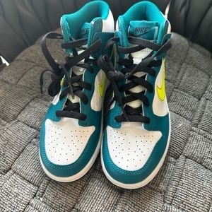 Little Boys Nike Dunks